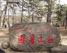 蓝鲸直播
