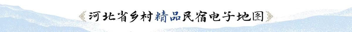 县政府一行到访蓝鲸直播座谈交流